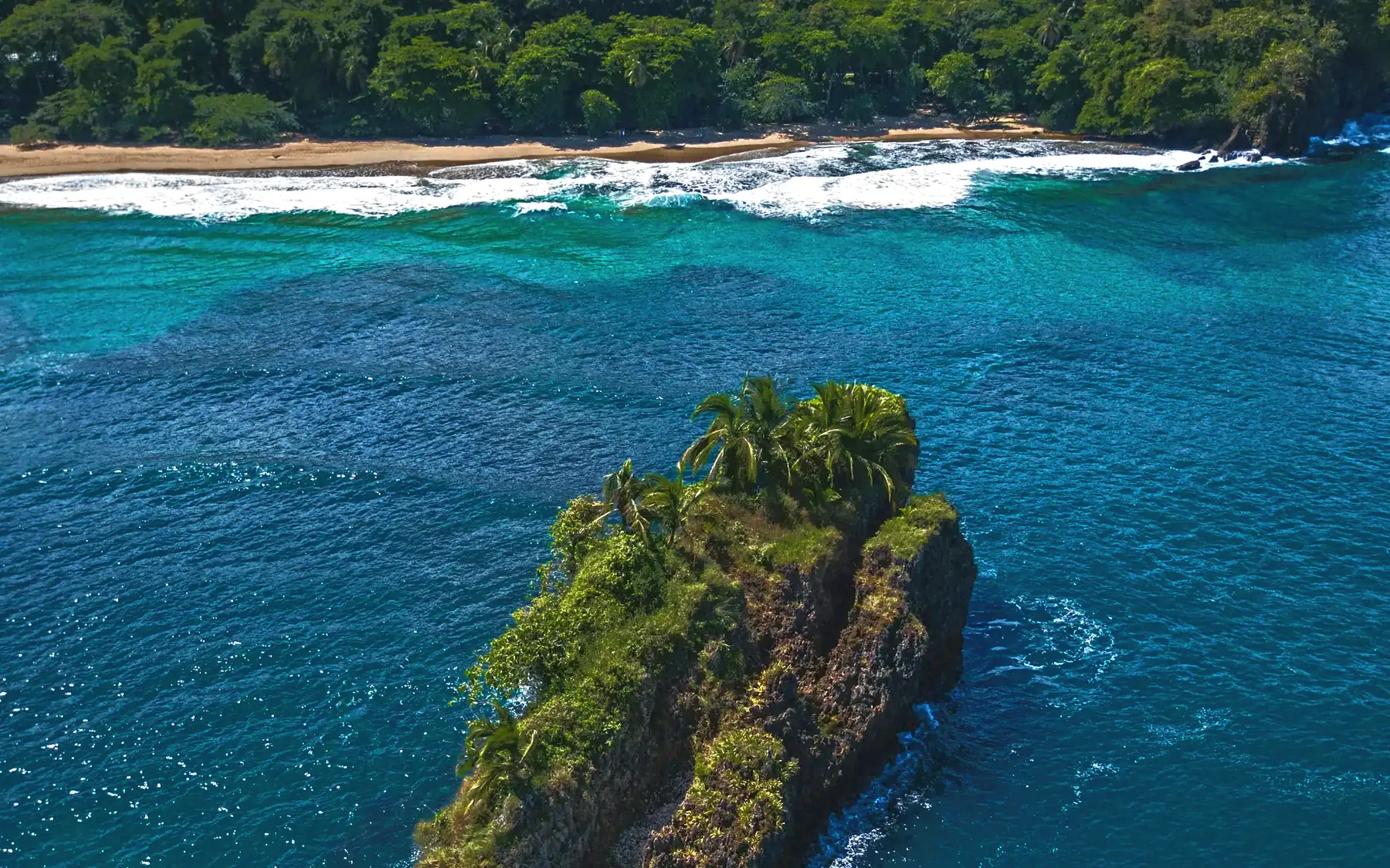 Aerial view of a rocky islet with palms off Playa Cocles on the Caribbean coast, with a forested beach behind it