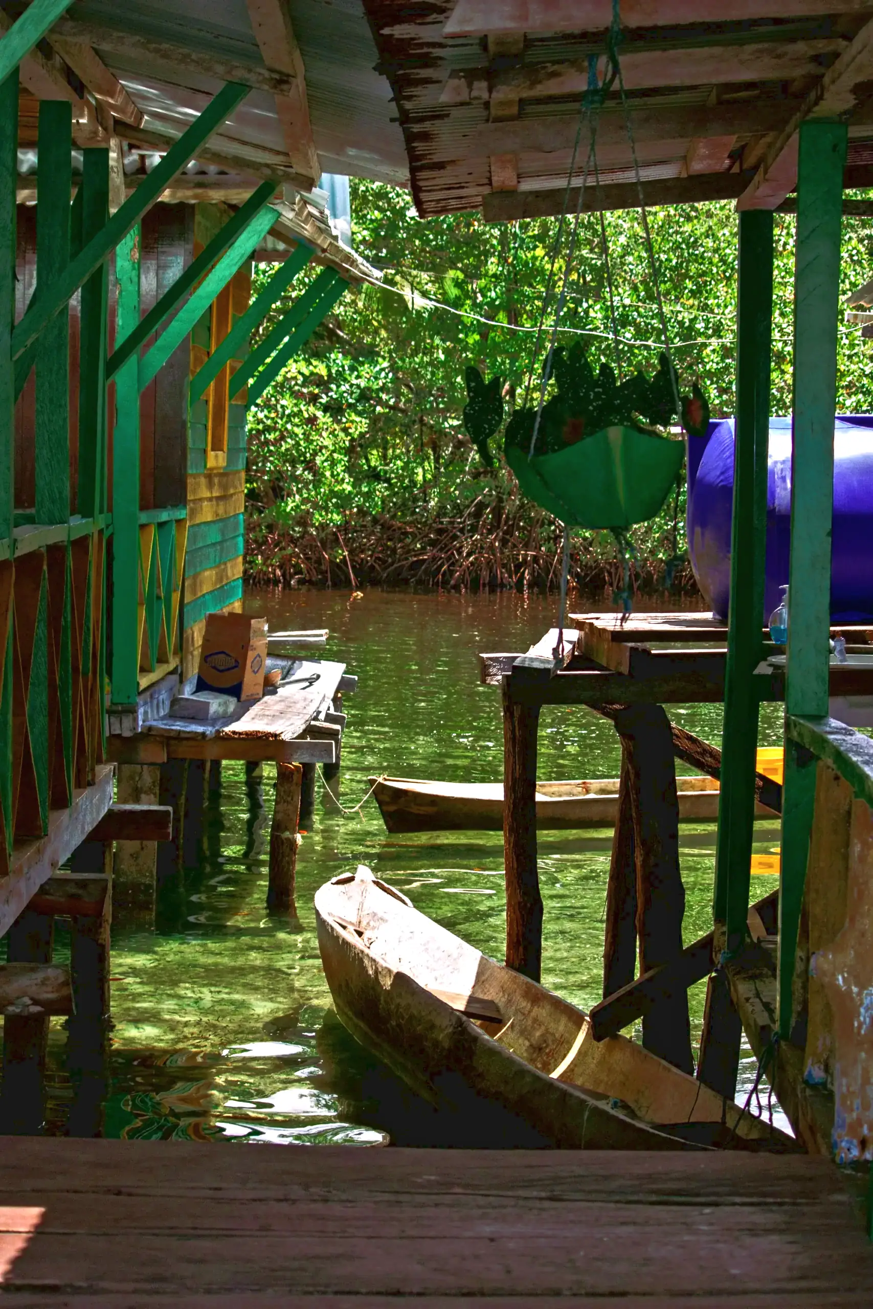 A traditional wooden house with moored boats beside a canal in Bocas del Toro, Panama