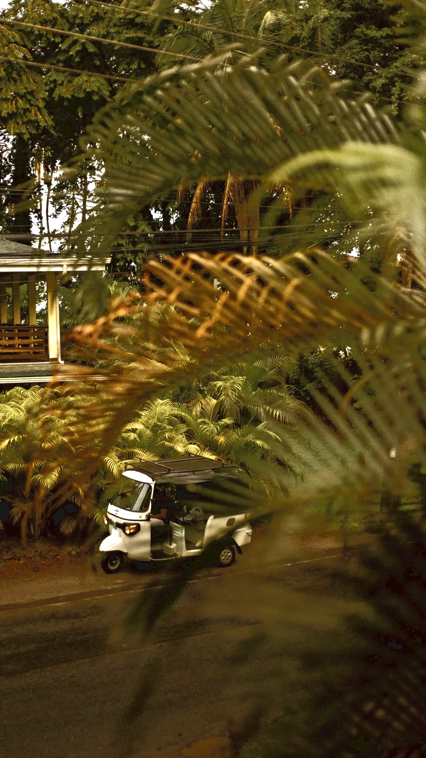 A white three-wheeled tuk-tuk on a leafy road in Puerto Viejo de Talamanca