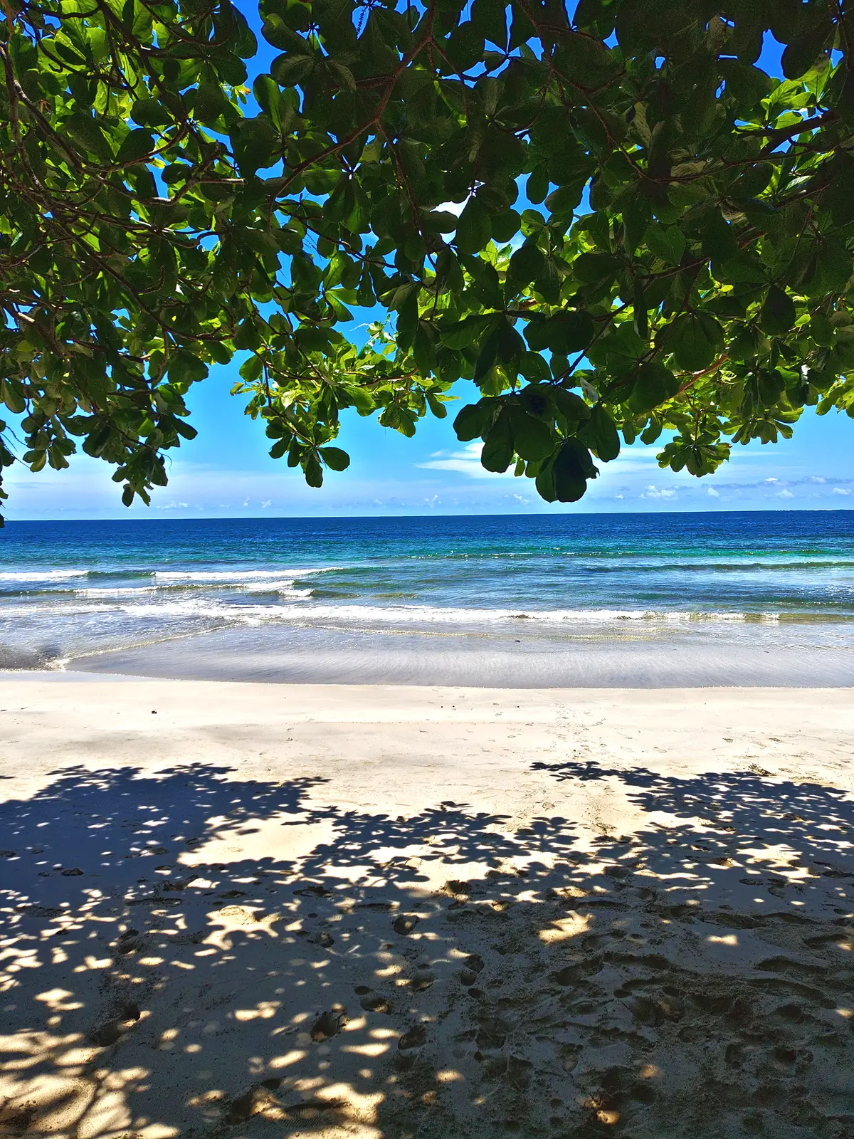 The sea seen from under the trees at Cahuita