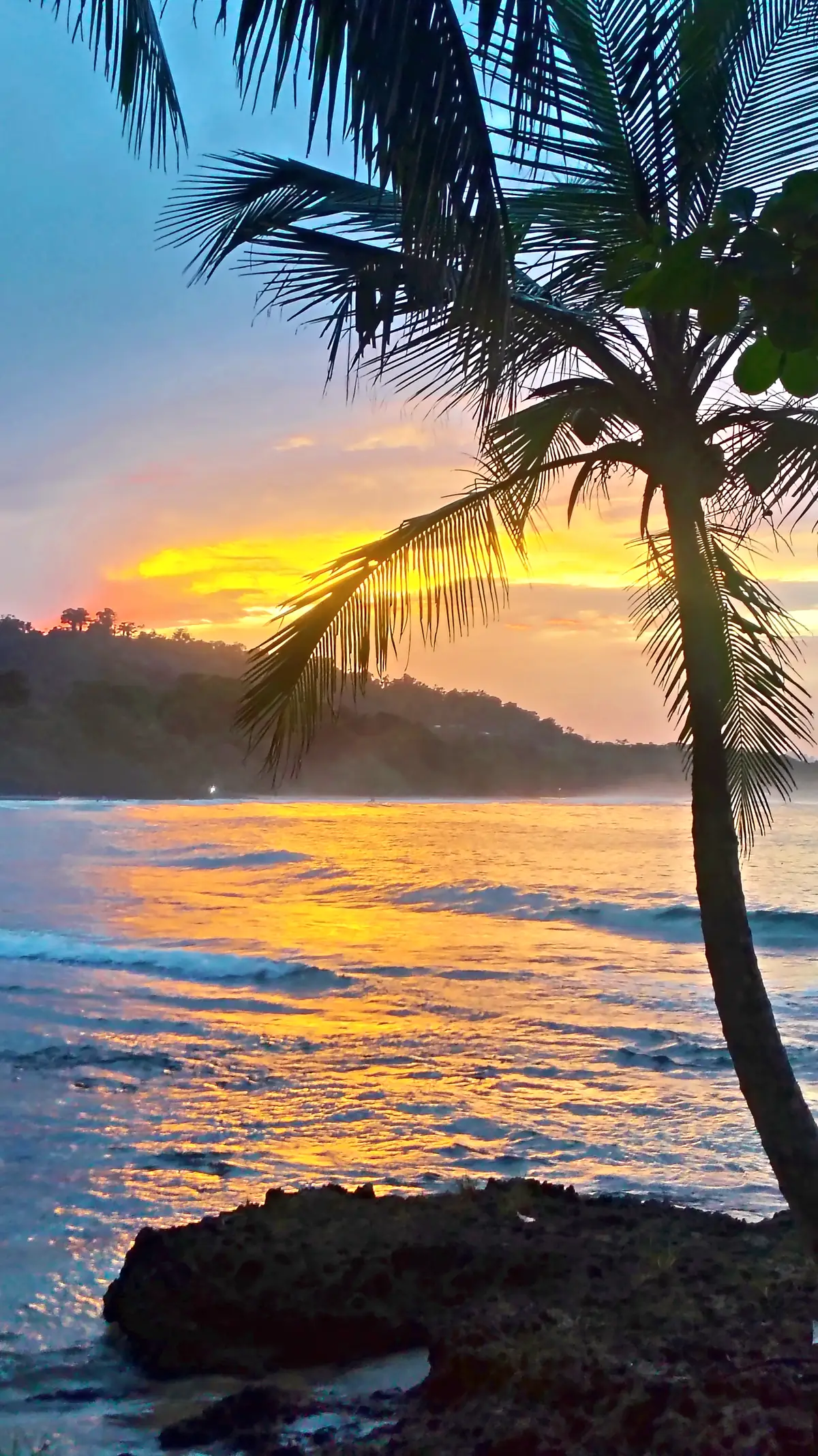Sunset behind a palm and a dark rock at Playa Chiquita
