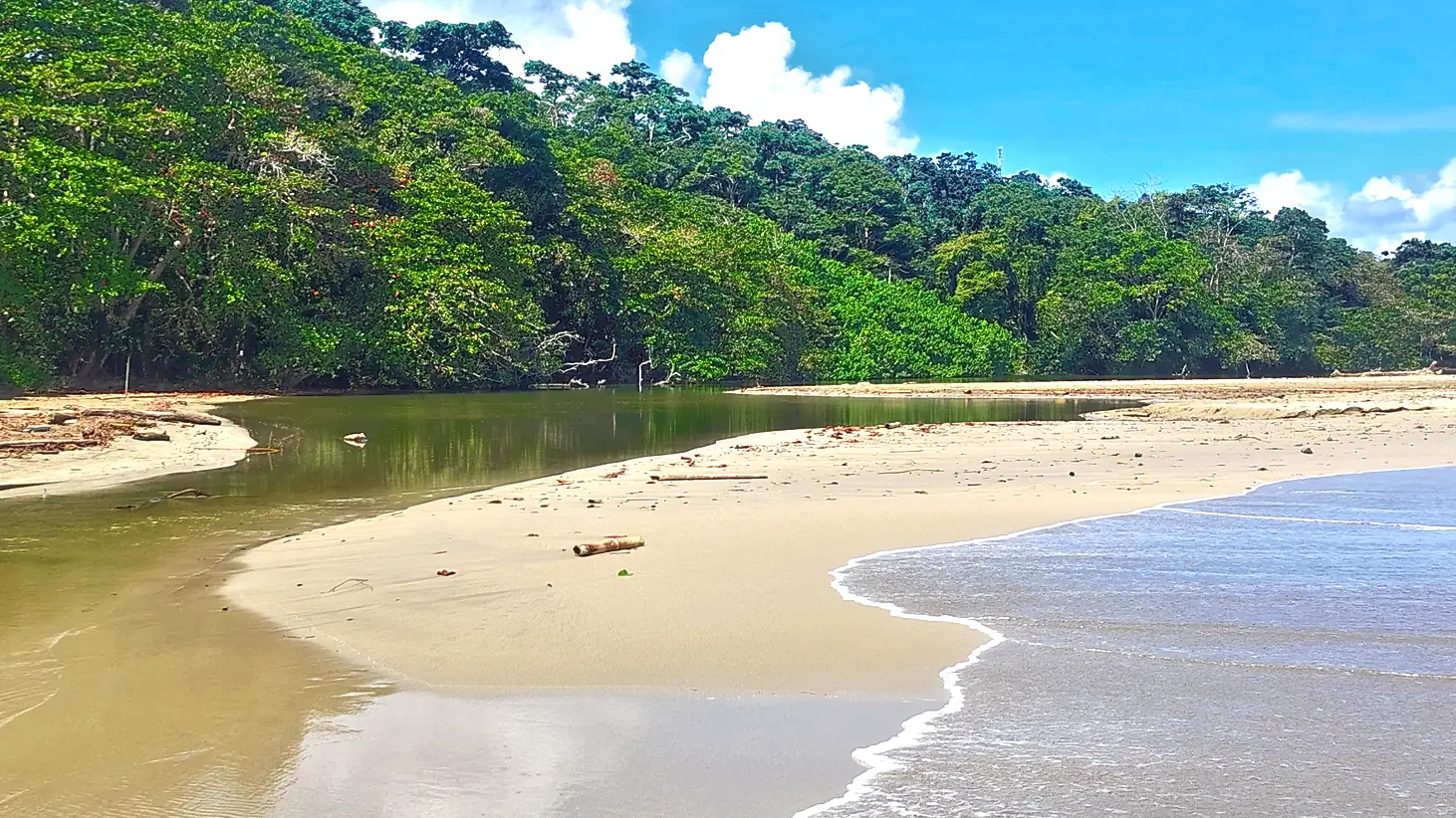 The curve of the beach at Playa Cocles