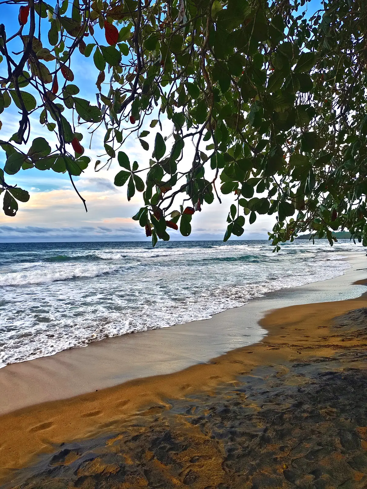 Surf along a beach at Manzanillo