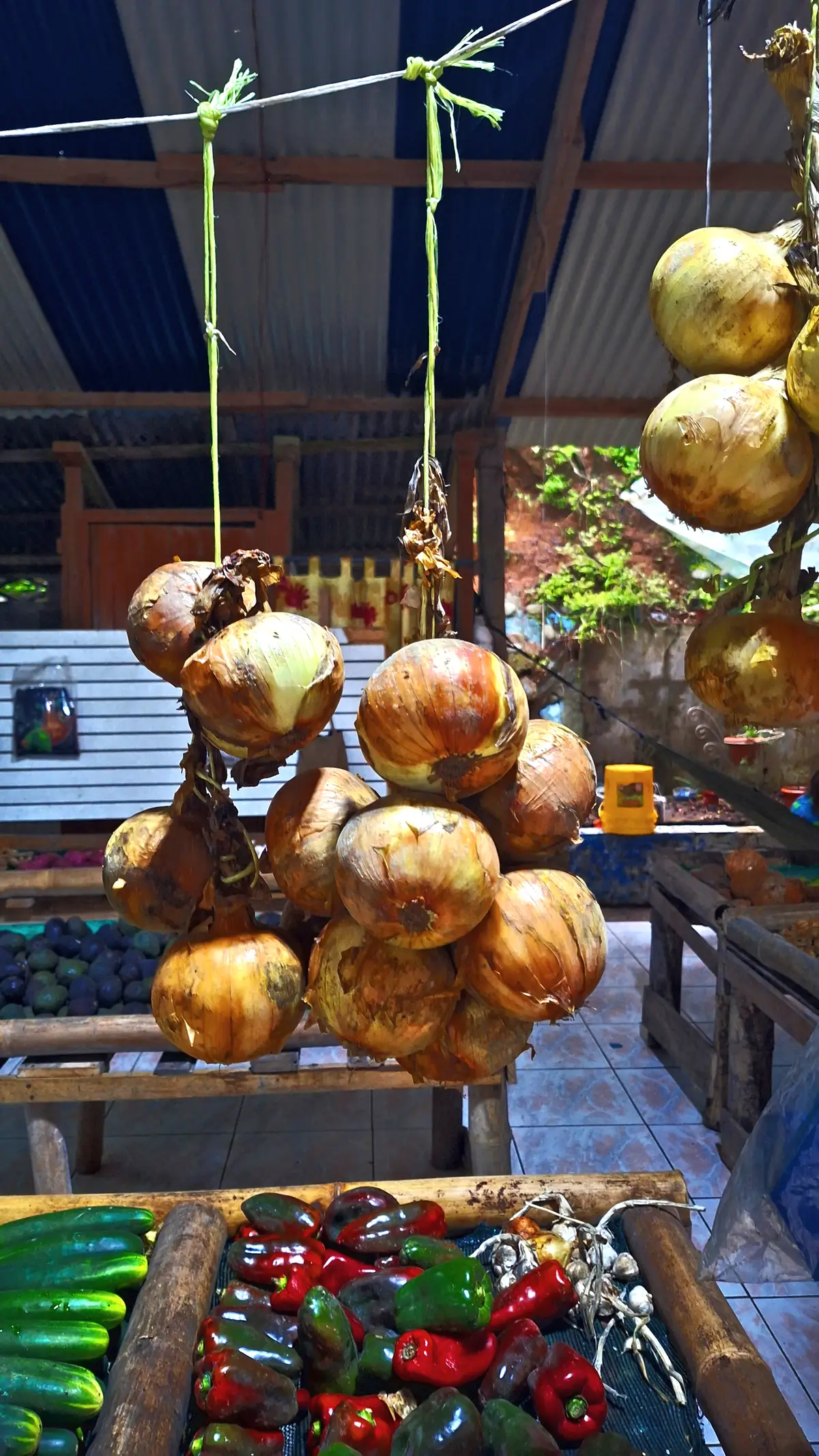 Onions and vegetables hanging at a market stall