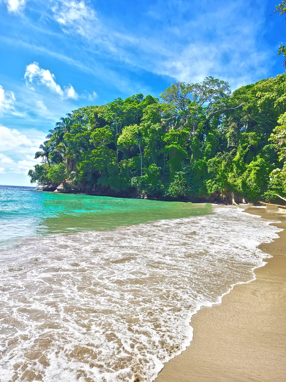 Waves on the beach below a forested headland at Punta Uva