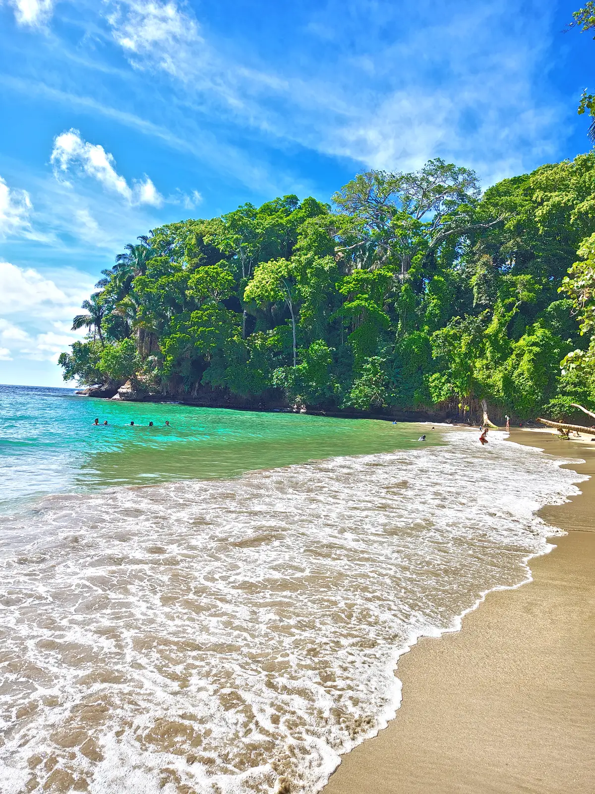 A forested headland and clear water at Punta Uva