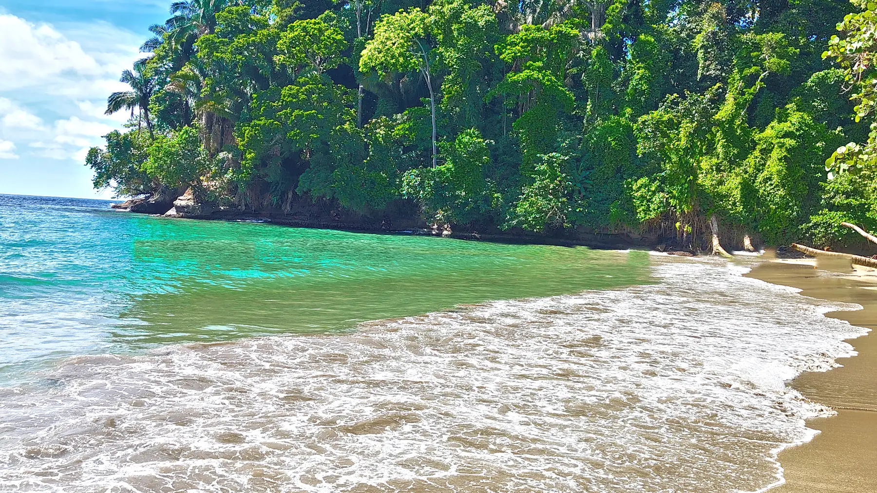 Waves on the beach below a forested headland at Punta Uva