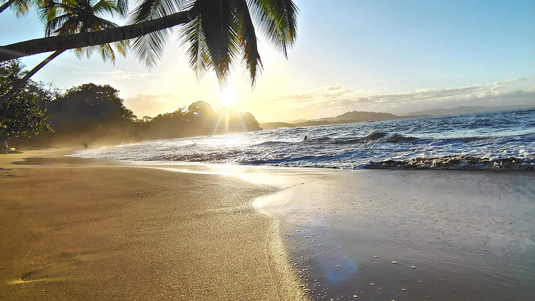 Low sun over wet sand and a leaning palm at Punta Uva