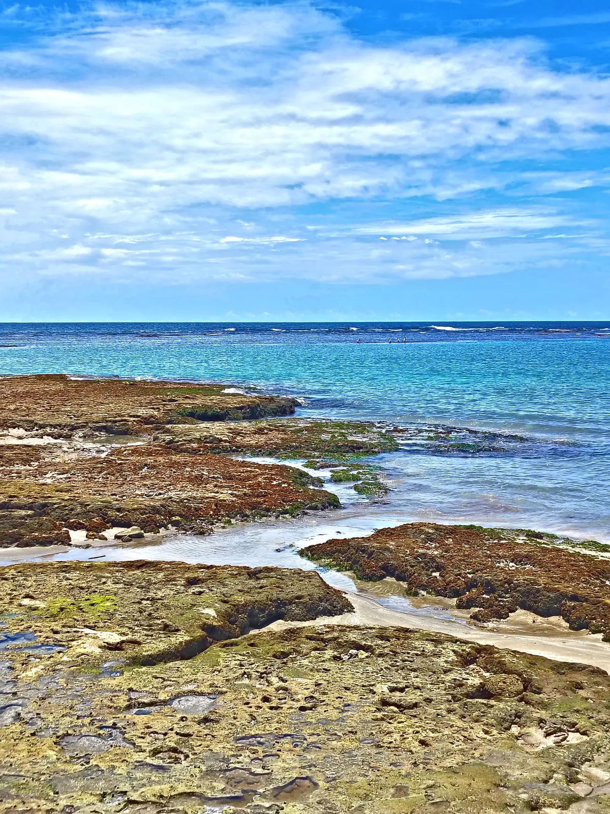 Rock shelves and clear water on the coast at Puerto Viejo