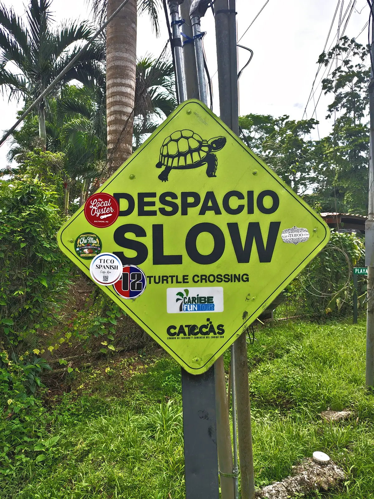 A road sign warning drivers of turtles crossing near Playa Negra